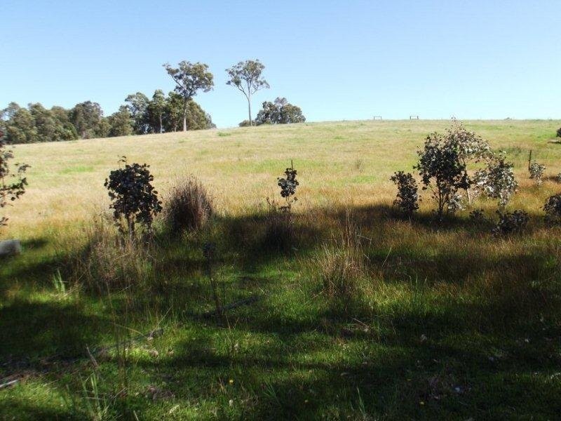 420 Yovanche Road, Bridgetown WA 6255