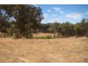 5 Windy Hollow Vale, Bridgetown WA 6255