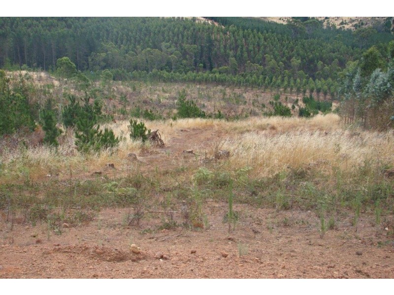 2 Quagamirup Rd, Bridgetown WA 6255