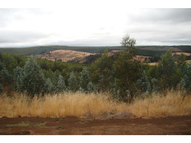 2 Quagamirup Rd, Bridgetown WA 6255