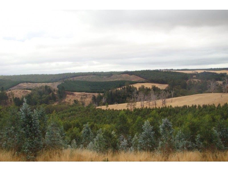 2 Quagamirup Rd, Bridgetown WA 6255