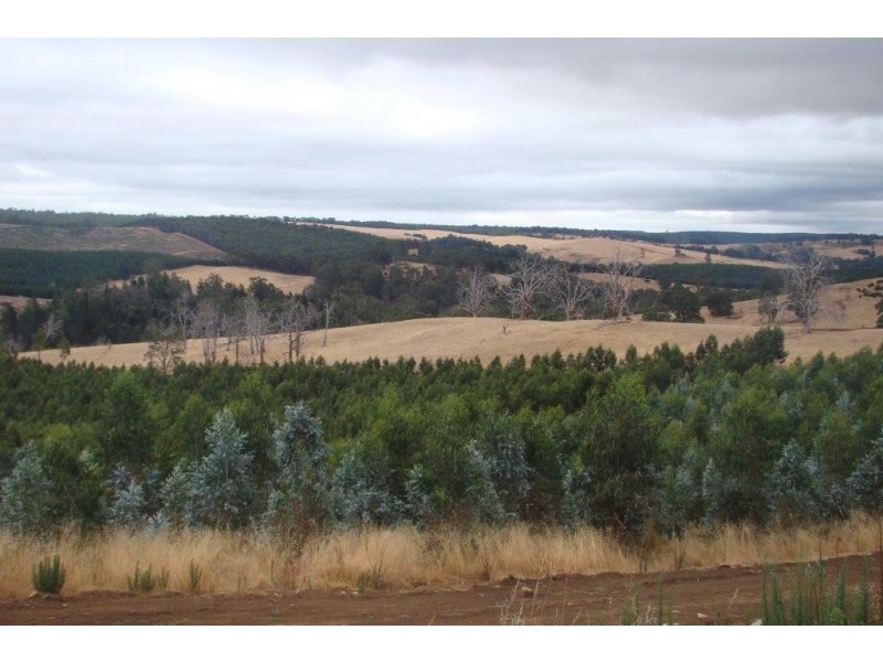 2 Quagamirup Rd, Bridgetown WA 6255