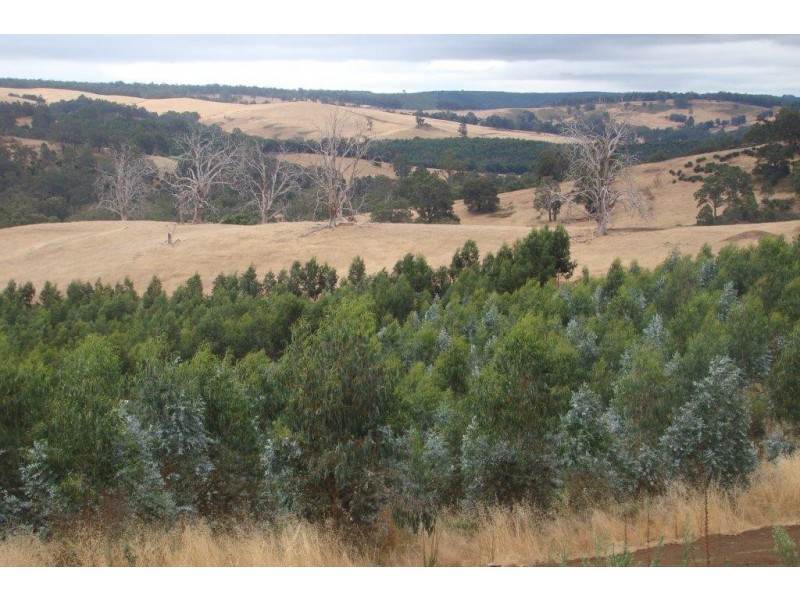 2 Quagamirup Rd, Bridgetown WA 6255