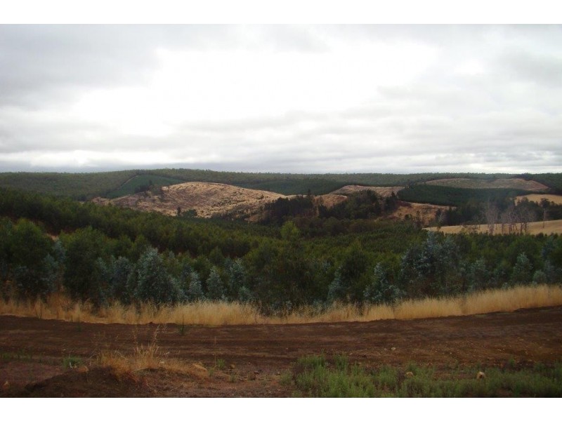 2 Quagamirup Rd, Bridgetown WA 6255