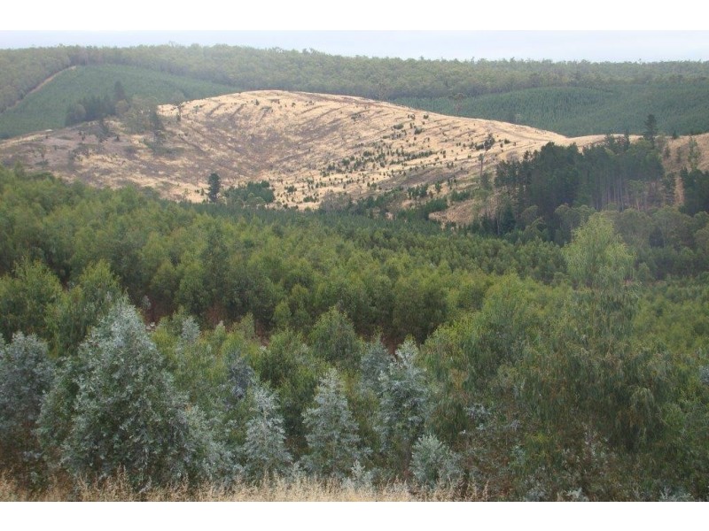 2 Quagamirup Rd, Bridgetown WA 6255