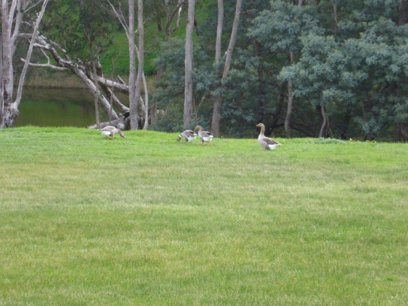 51 River Road, Bridgetown WA 6255