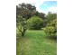 64 Blechynden Street, Bridgetown WA 6255