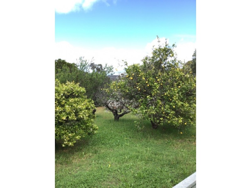 64 Blechynden Street, Bridgetown WA 6255