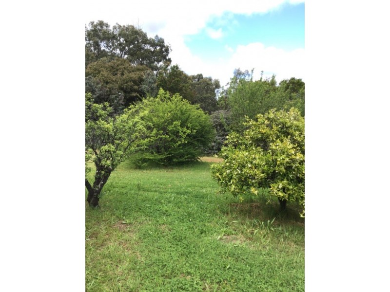 64 Blechynden Street, Bridgetown WA 6255