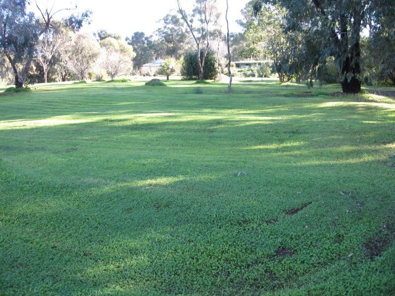 15 Dreyfus Street, Bridgetown WA 6255