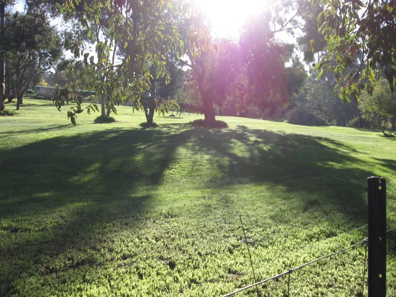 15 Dreyfus Street, Bridgetown WA 6255