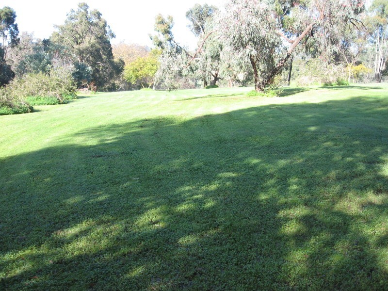 15 Dreyfus Street, Bridgetown WA 6255