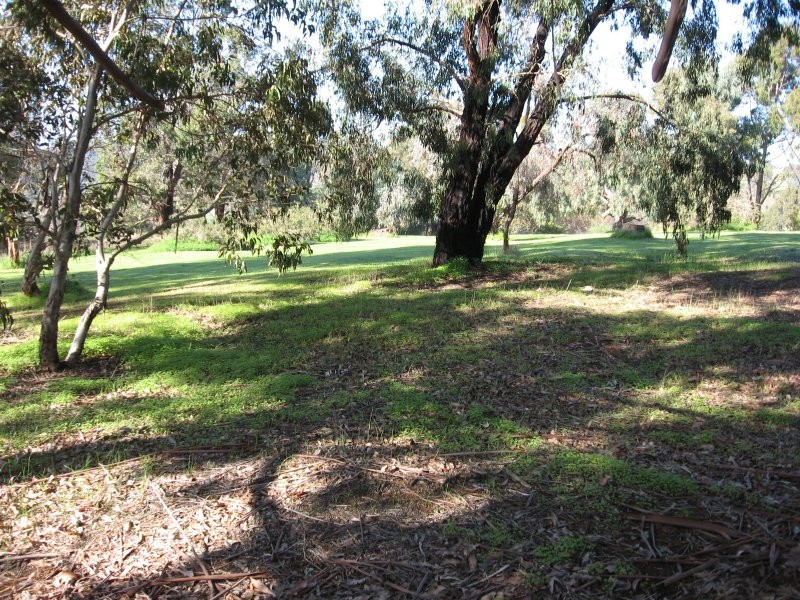 15 Dreyfus Street, Bridgetown WA 6255