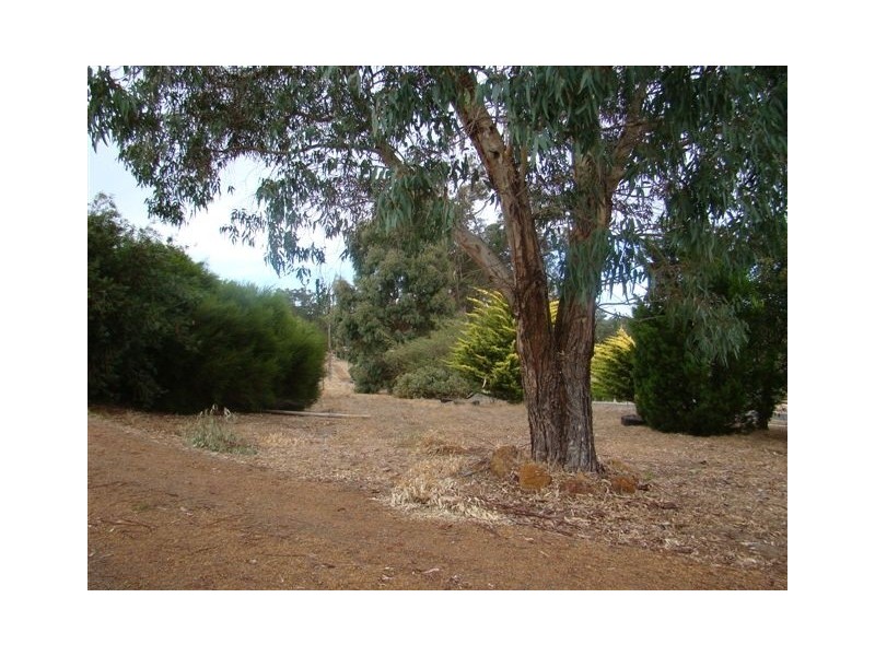lot 7 Forrest View, Greenbushes WA 6254