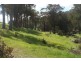 Lot 8 Windy Hollow Vale, Bridgetown WA 6255
