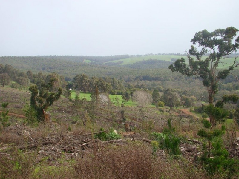 987 Brockman Hwy, Bridgetown WA 6255