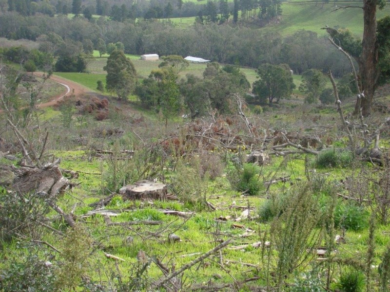 987 Brockman Hwy, Bridgetown WA 6255