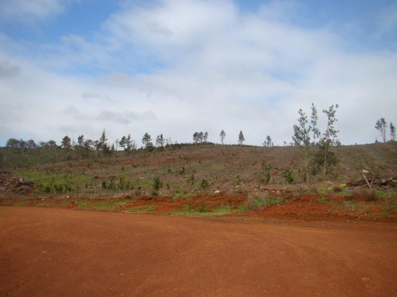 987 Brockman Hwy, Bridgetown WA 6255