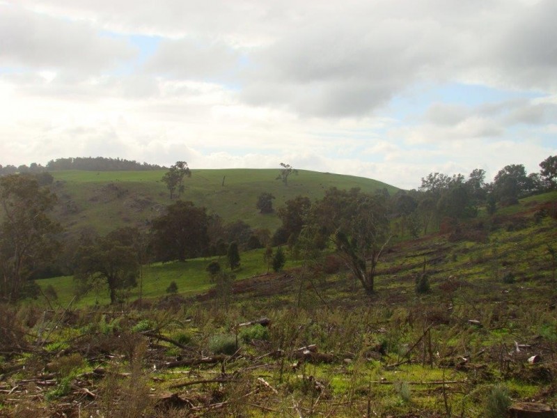 987 Brockman Hwy, Bridgetown WA 6255