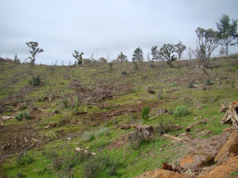 987 Brockman Hwy, Bridgetown WA 6255