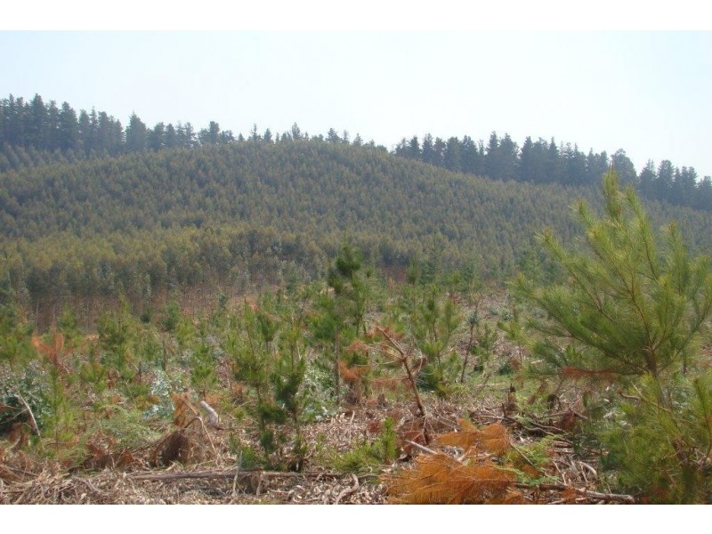 11276 Brockman Hwy, Bridgetown WA 6255