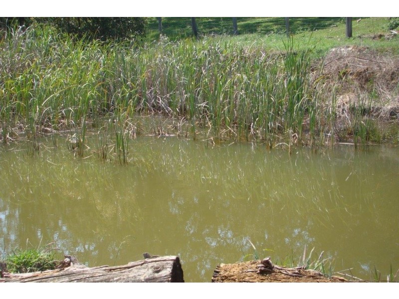 11276 Brockman Hwy, Bridgetown WA 6255