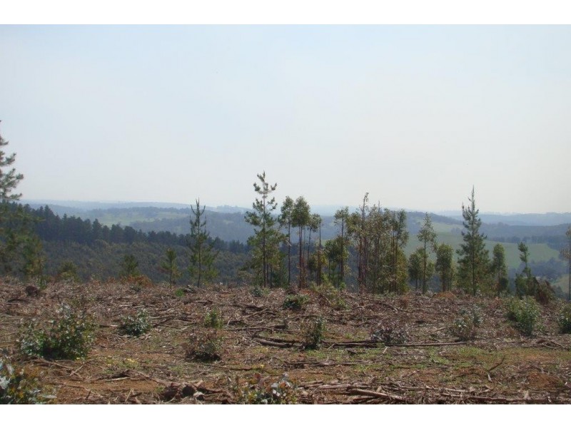 11276 Brockman Hwy, Bridgetown WA 6255