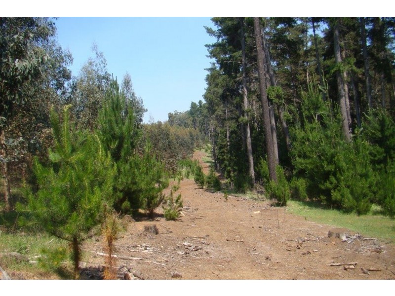 1340 Brockman Hwy, Bridgetown WA 6255