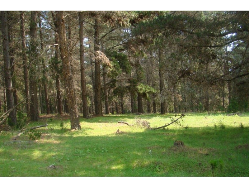 1958 Brockman Hwy, Bridgetown WA 6255