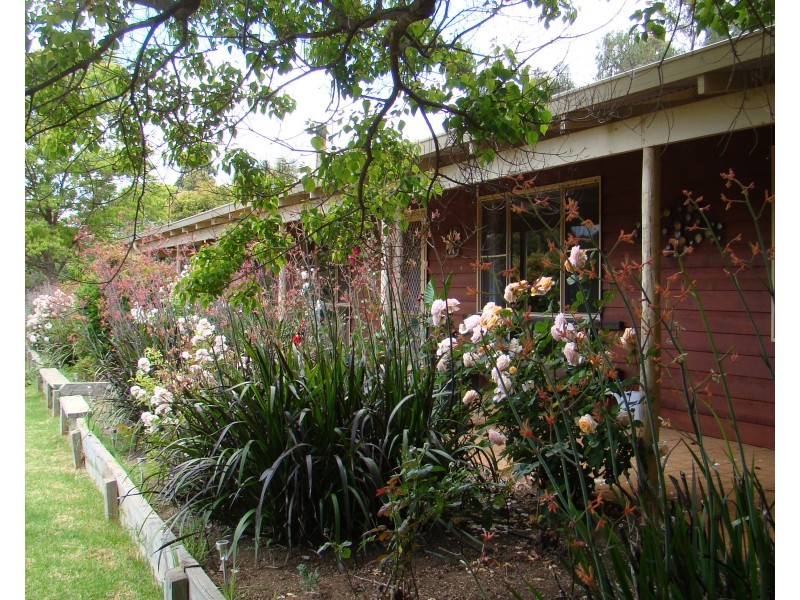 15 Brand Street, Bridgetown WA 6255