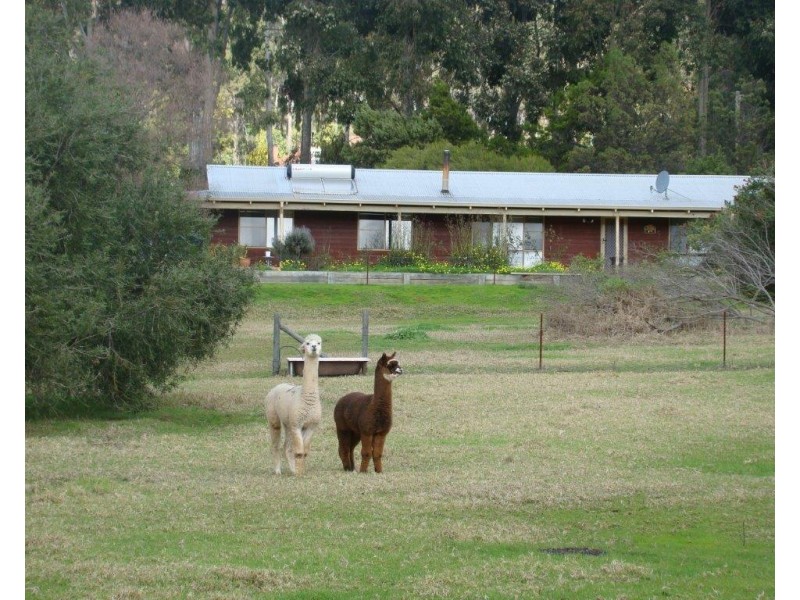 15 Brand Street, Bridgetown WA 6255