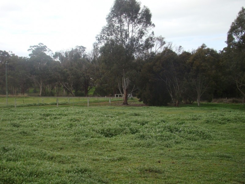 Lot 23 Williams Street, Boyup Brook WA 6244