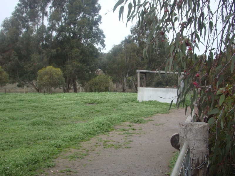 Lot 23 Williams Street, Boyup Brook WA 6244