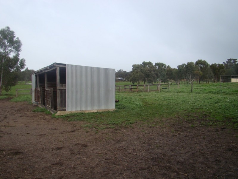 Lot 23 Williams Street, Boyup Brook WA 6244