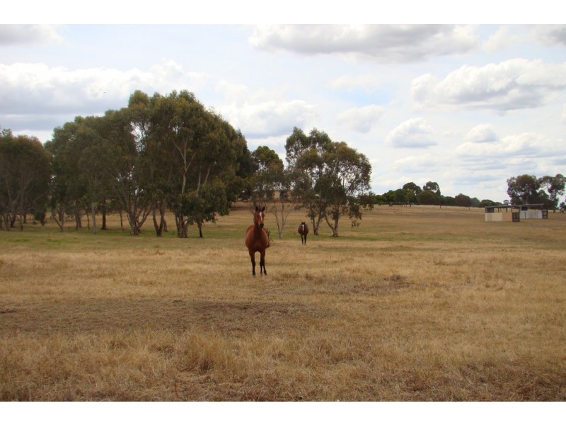 Lot 23 Williams Street, Boyup Brook WA 6244