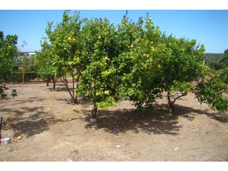 12 Highland Ave, Bridgetown WA 6255