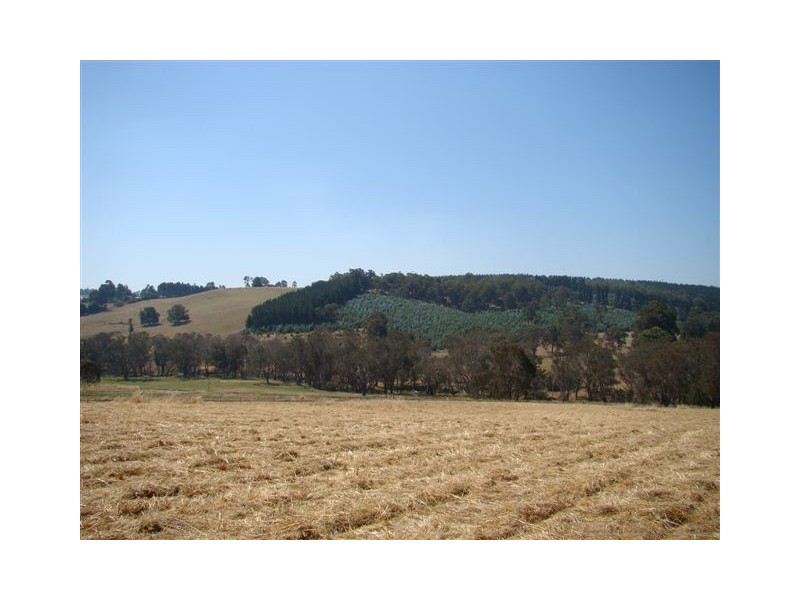 8 Dexter Rise, Bridgetown WA 6255