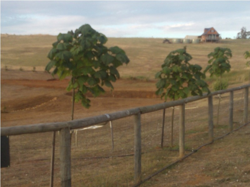 17 Sunridge Drive, Bridgetown WA 6255