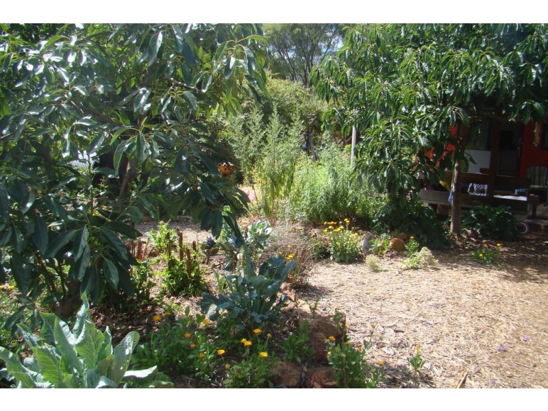 20 Turner Rd, Bridgetown WA 6255