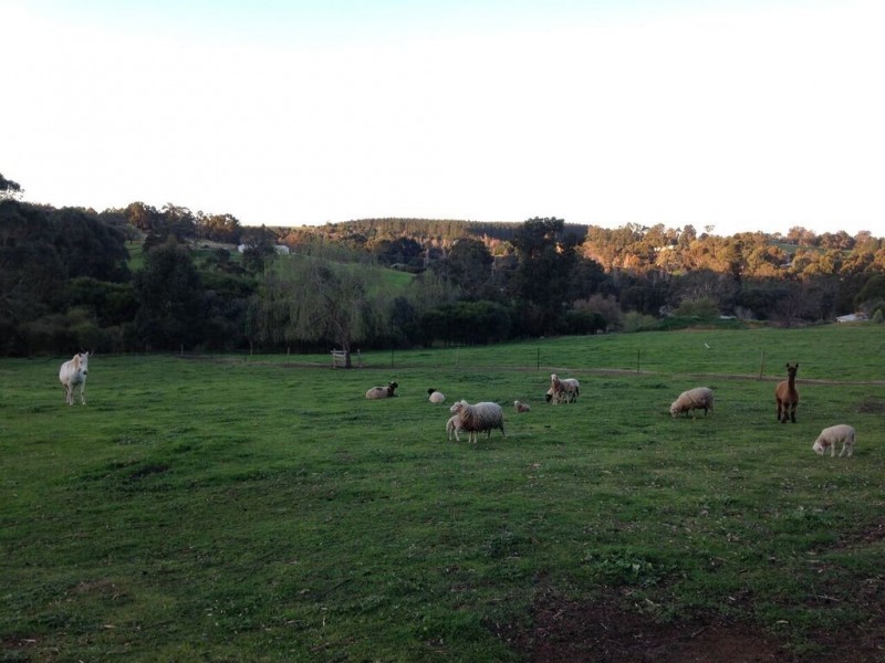 Lot 45 Flintoff Road, Bridgetown WA 6255