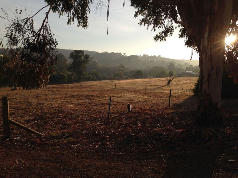 Lot 45 Flintoff Road, Bridgetown WA 6255