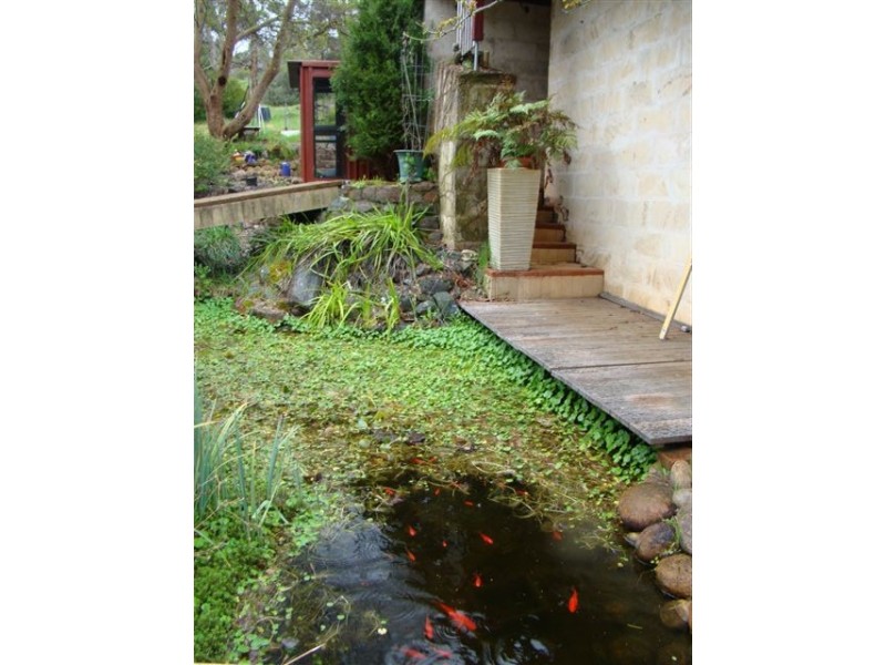 16 Thompson St, Bridgetown WA 6255