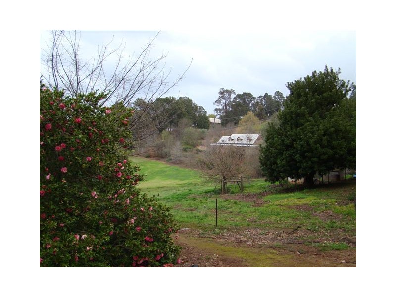 16 Thompson St, Bridgetown WA 6255