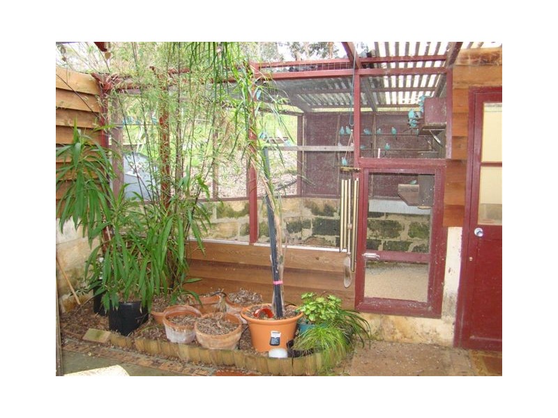 16 Thompson St, Bridgetown WA 6255