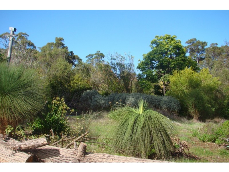 78 Blechynden Street, Bridgetown WA 6255