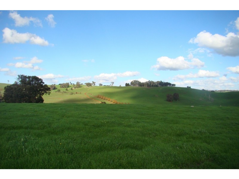 Lot 2 Wheatley-Giblett Road, Bridgetown WA 6255