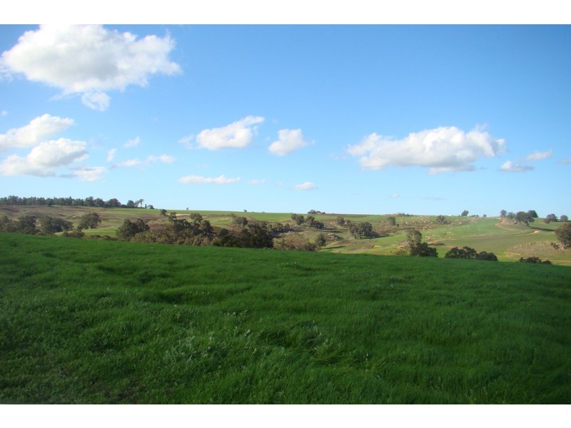 Lot 2 Wheatley-Giblett Road, Bridgetown WA 6255