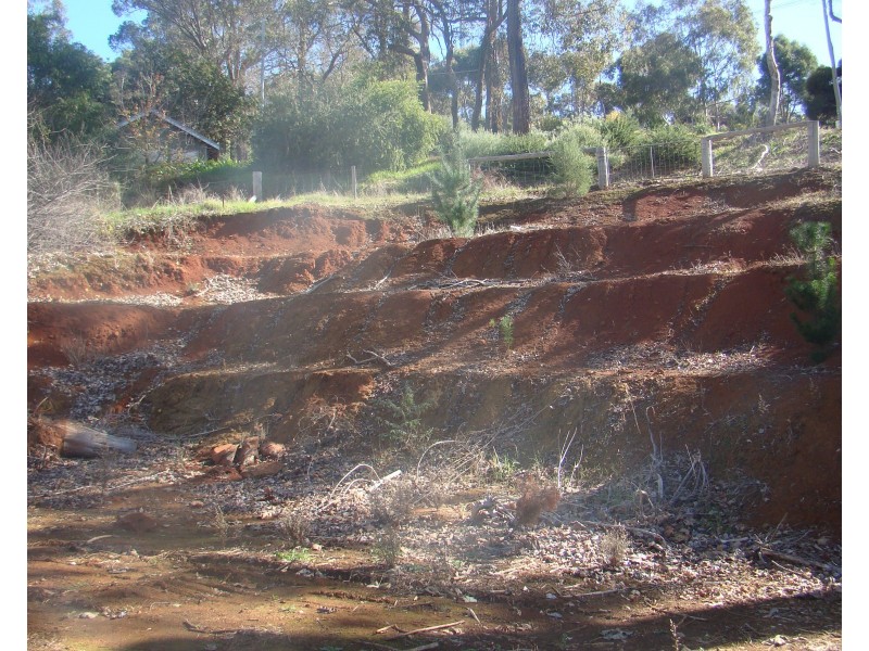 20 Rosella Rise, Bridgetown WA 6255