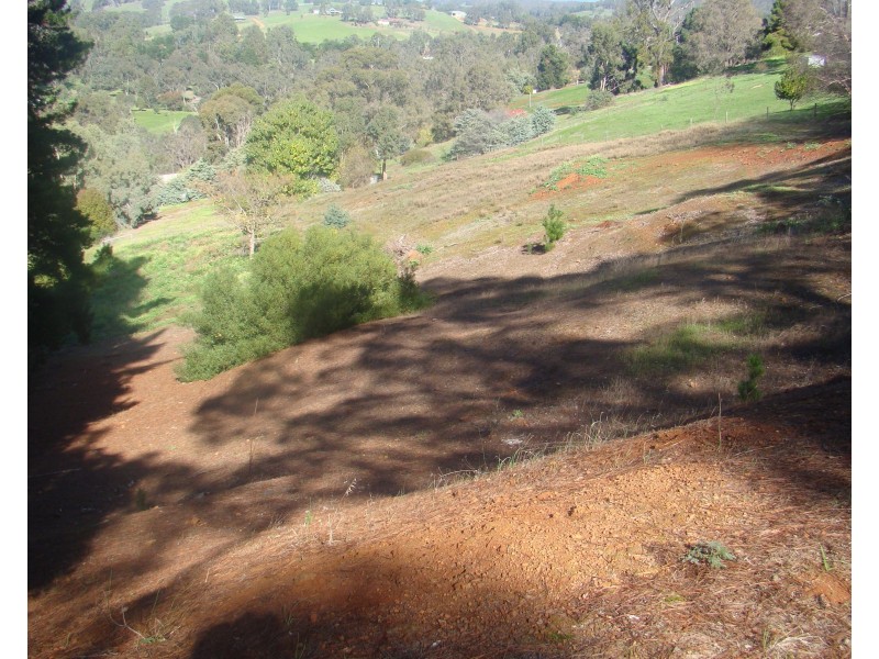 20 Rosella Rise, Bridgetown WA 6255