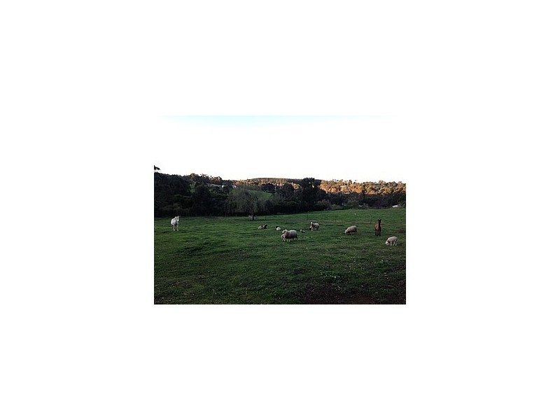 45 Flintoff Road, Bridgetown WA 6255